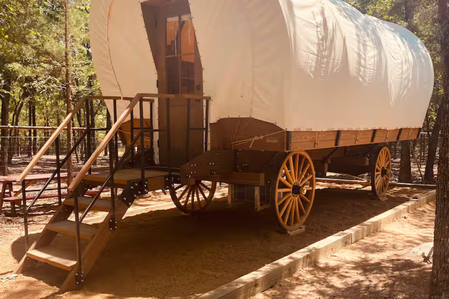 Covered wagon in a tree environment